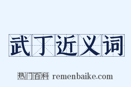 武丁近义词是什么意思的图片